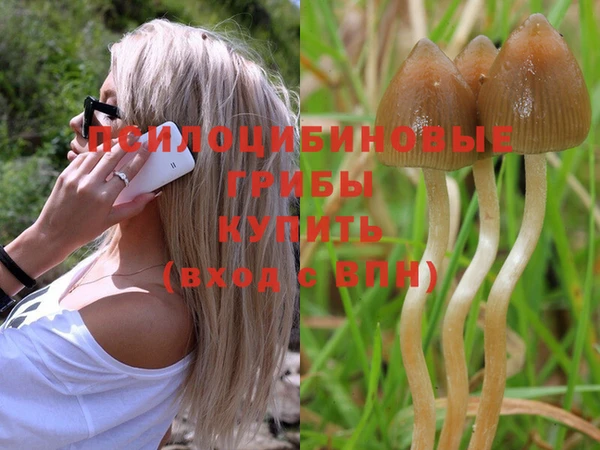 дистиллят марихуана Горнозаводск