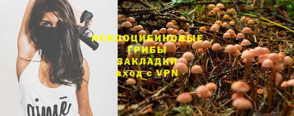 героин Горняк