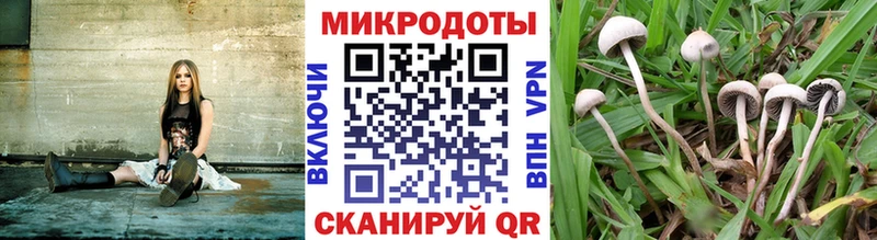 Купить Буинск Галлюциногенные грибы MAGIC MUSHROOMS